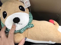 -PAWTOY爪e玩偶店(天兴罗斯福店)