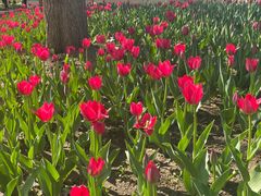 -长春公园(普阳街道)