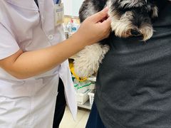 -宠福鑫康馨动物医院·骨科·眼科