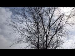 -永定河休闲森林公园