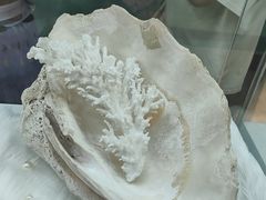 -海合安武汉极地海洋公园