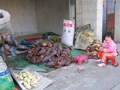 -黄埔古港