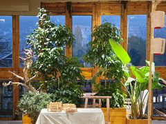 -上席擂茶·新中式青年茶馆(古城店)