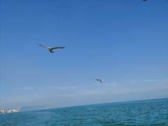 -长岛南北长山旅游景区