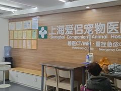 -爱侣宠医·鹦鹉专科·小型哺乳类·异宠专科(灵石路店)