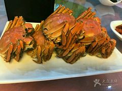 -明珠湖天鹅苑·农家菜馆