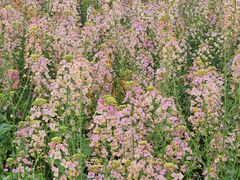 -中国天府农业博览园