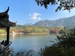 -深圳仙湖植物园