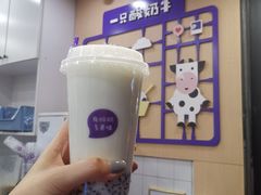 -一只酸奶牛(八一路店)
