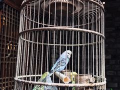 -鱼桥巷·美学川菜