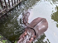 -海南热带野生动植物园