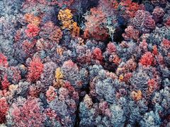 -罗红摄影艺术馆