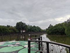 -大湾区中央湿地公园