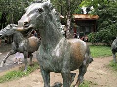 -元大都城垣遗址公园