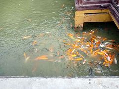 -揭东万竹园旅游景区