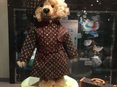 -济州岛泰迪熊博物馆