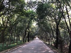 -灵谷景区