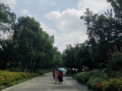 -府河摄影公园