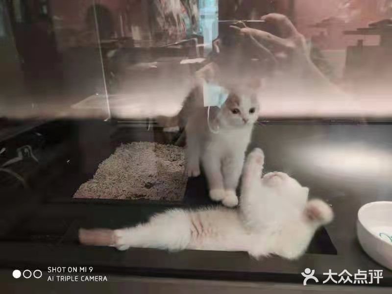 闺蜜我们俩一人买了一只，抱着软绵绵的