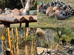 -宁波野生动物园