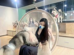 -Husky Go! 哈士奇体验馆·宠物咖啡厅狗咖