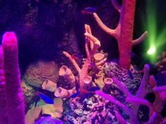 -沈阳海洋探索中心