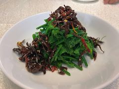 炝油黑皮鸡枞拌麦瓜尖-云腾食府·云南菜