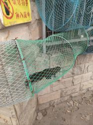 -上美四季动物农场