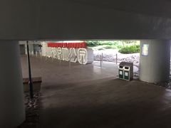 -沐仙湖湿地公园