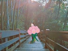 -水濂山森林公园