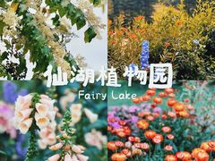 -深圳市中科院仙湖植物园