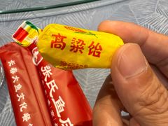 -张氏鱼庄