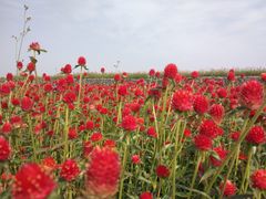 -江苏三台山国家森林公园