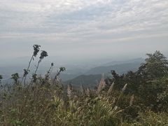 -长沙黑麋峰国家森林公园