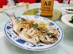清蒸白水鱼-状元楼(金溪路店)