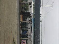 -马陆小张葡萄园农家乐