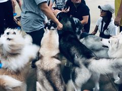 -TrueLove @ Neverland (Husky Cafe)