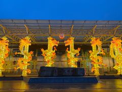 -武汉园博园(武汉自然博物馆)