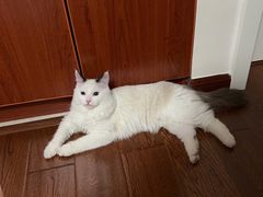 -宠颐生中康贝怡动物医院
