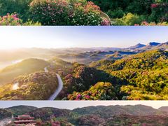 -贵州百里杜鹃风景名胜区