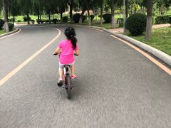 -丁香湖公园