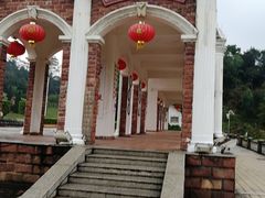 -三水森林公园