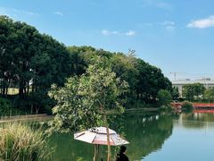 -美兰湖景区