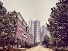 -东北大学(秦皇岛分校)