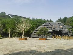 -周口店北京人遗址公园