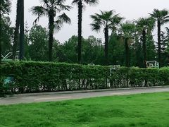 -四川大学(华西校区)