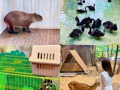 -南戴河国际娱乐中心