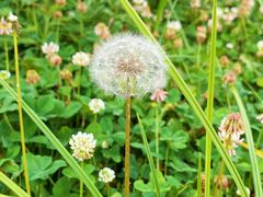 -云漫湖生态度假公园