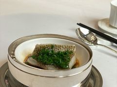 葱油蒸野生黄鱼-福1015(愚园路店)