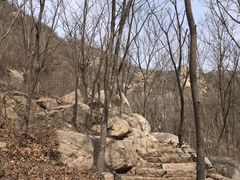 -大岭沟猕猴桃谷风景区